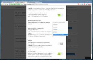 HSTS Settings